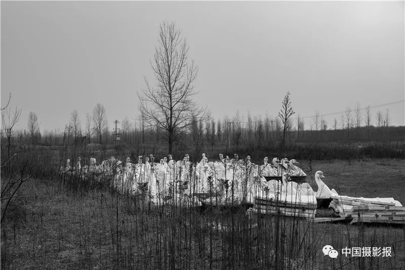 作品 | 为何·渭河