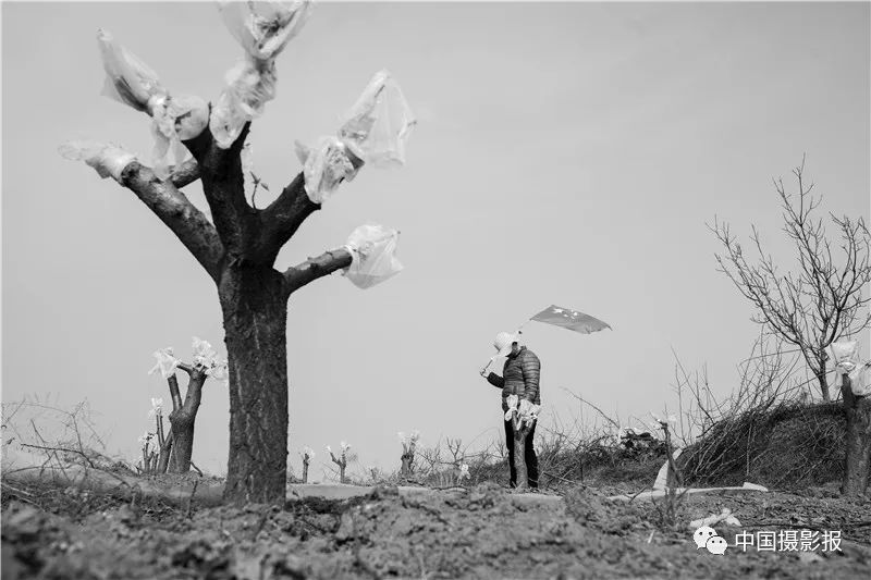 作品 | 为何·渭河