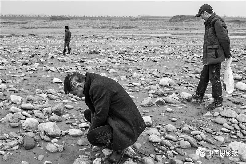 作品 | 为何·渭河