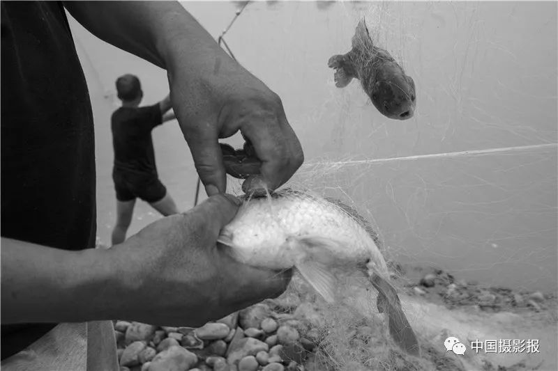 作品 | 为何·渭河