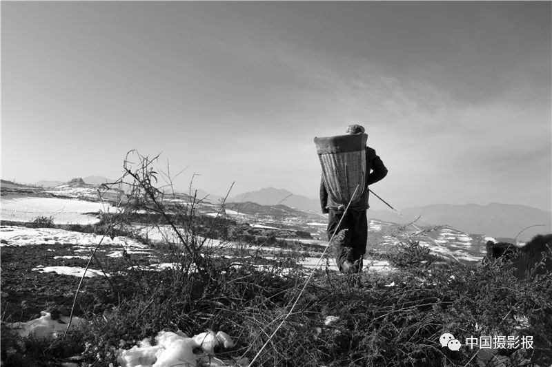 作品 | 为何·渭河