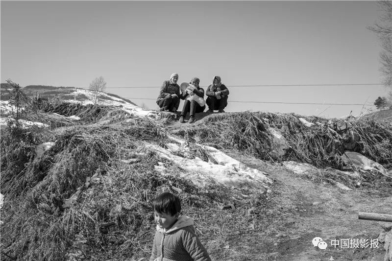 作品 | 为何·渭河