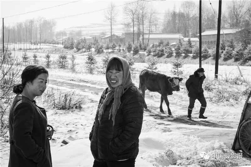 作品 | 为何·渭河