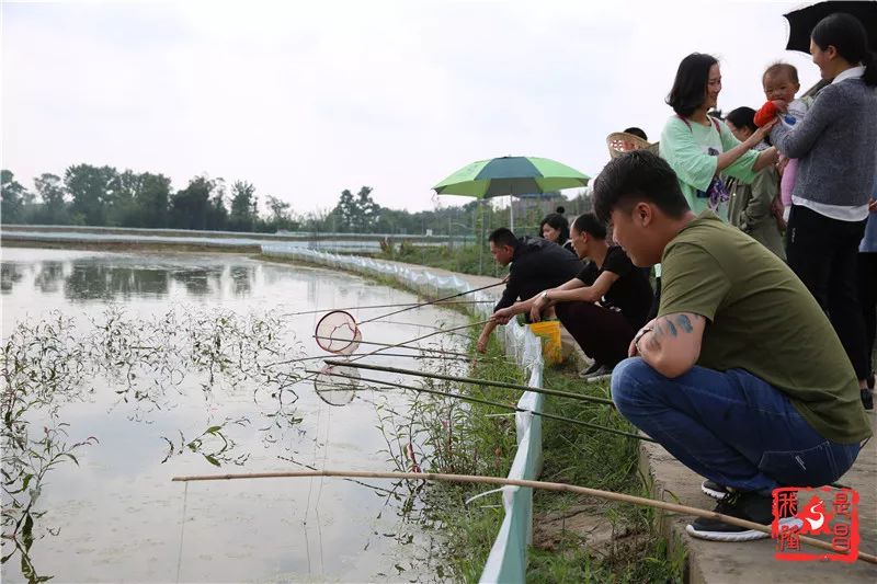 泰和首届小龙虾文化旅游节本周末开启，想吃“霸王虾”的看过来！