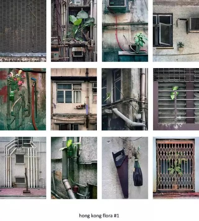 他用25年，拍下香港最真实的一面