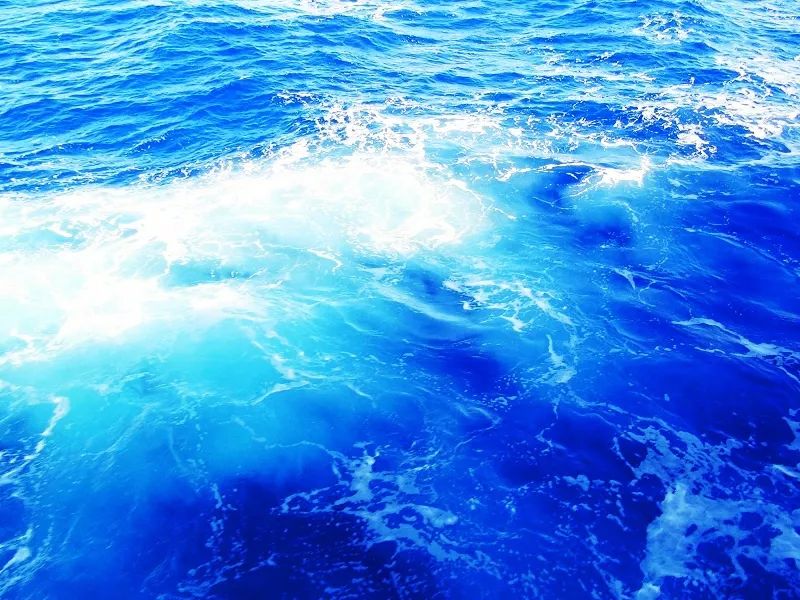 你见过最震撼的自然景观是什么？