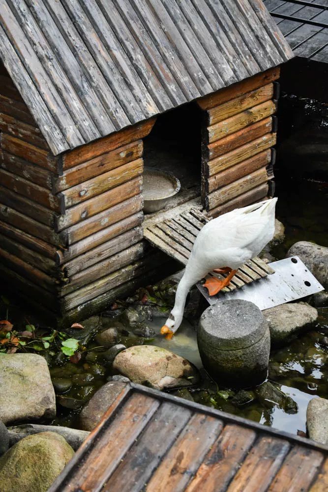 ¥188/位 “露天烧烤 小龙虾”双主题！花园式酒店放大招，6种口味小龙虾轮番刷，青啤、哈根达斯不限量！