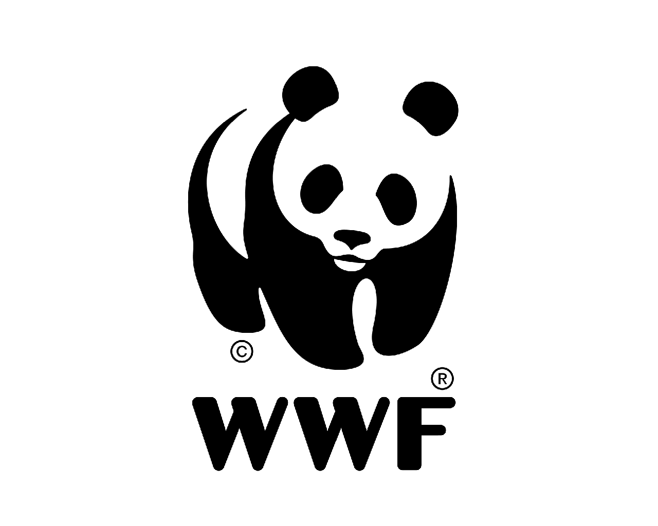 文史 | WWF熊猫会徽原型命运多舛