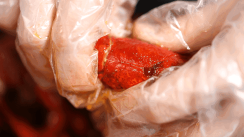 泰和首届小龙虾文化旅游节本周末开启，想吃“霸王虾”的看过来！