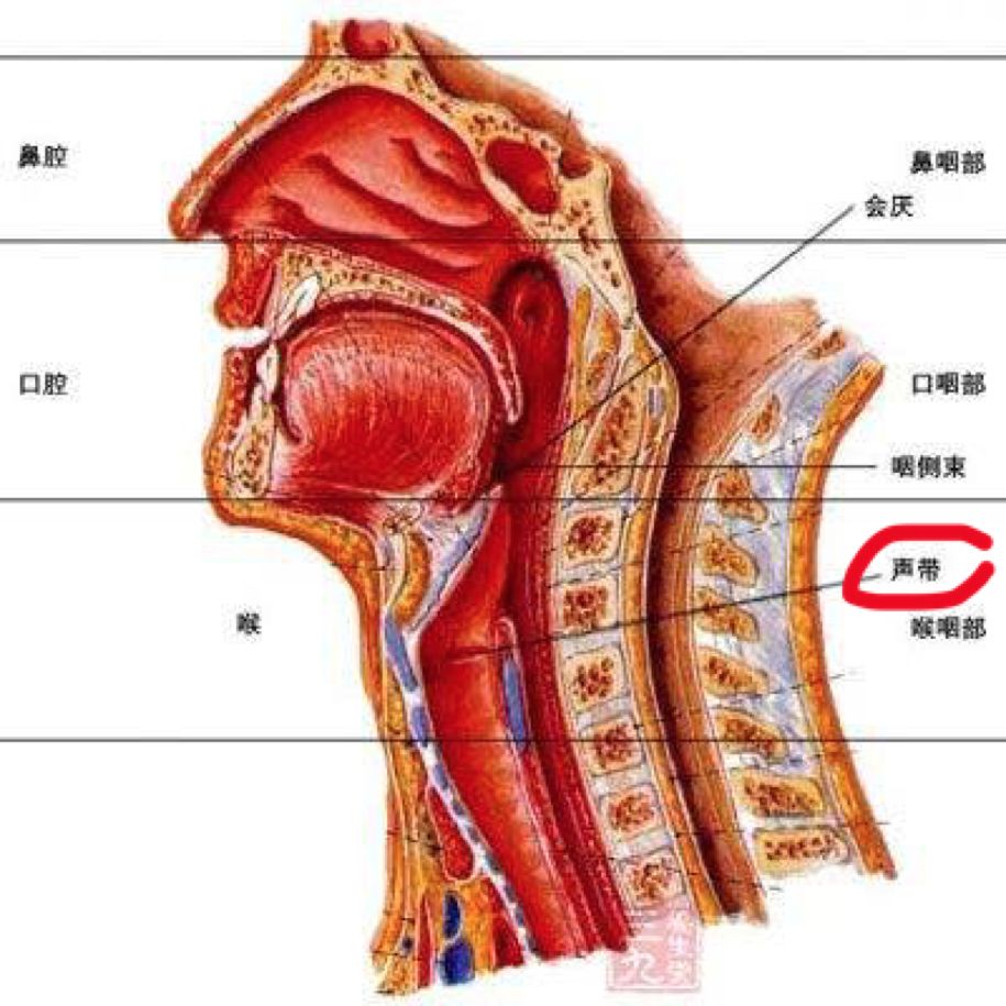 2019年最沙雕的35个小说桥段，看完感觉自己的智商被按在地上摩擦......