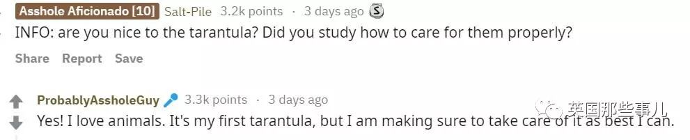 “为了让丈母娘少来家里,我养了一只她最怕的大蜘蛛” “为了让丈母娘少来家里,我养了一只她最怕的大蜘蛛”