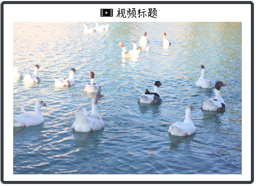 CartonWrap打包过程 来源:CMC官网