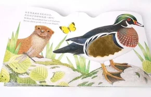 0~3岁分龄绘本推荐，这么买省钱又省力！（附详细书单）