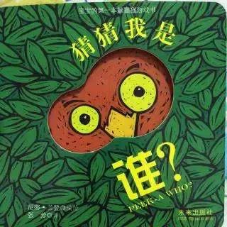 0~3岁分龄绘本推荐，这么买省钱又省力！（附详细书单）