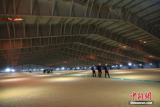 资料图:中储粮大连直属库72米大跨度钢结构高大平房仓,单仓可储粮3.5万吨。中新社记者 沈殿成 摄