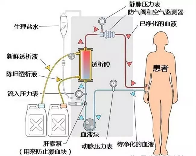 福音！心脏病预防针来了，打一针就可永久预防？这真不是传闻…