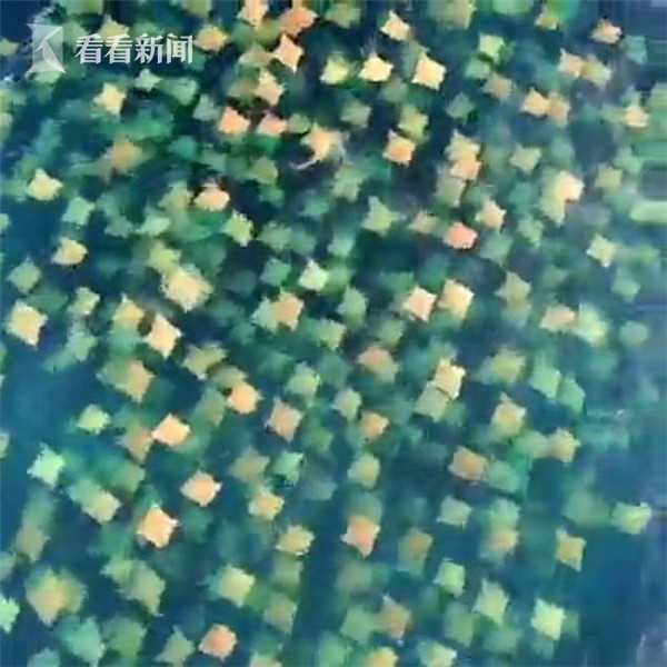 武里南联外援-爱游戏APP(中国)官方网站下载_AIYOUXI体育