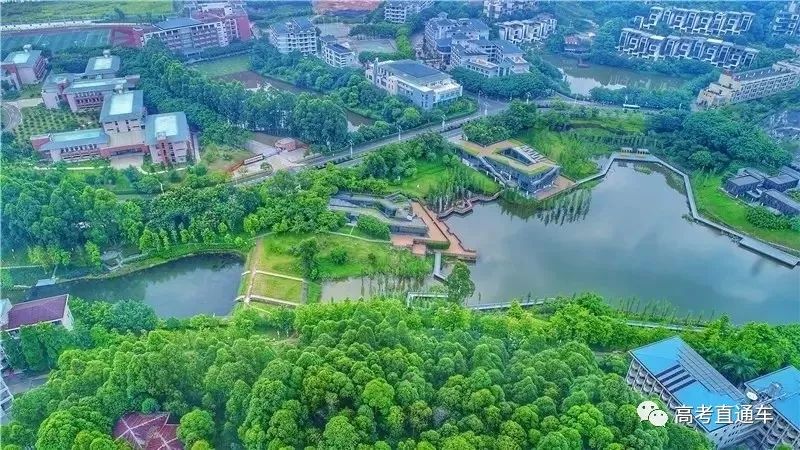 广东竟有10个大学城？！广州就有2个，其他分别在......哪个大学最多？