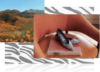 都市与丛林，优雅与野性 Rothy