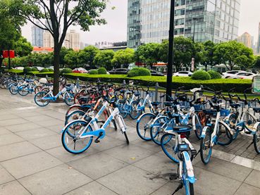 ▲ 陆家嘴附近的哈啰单车 蔡淑敏摄