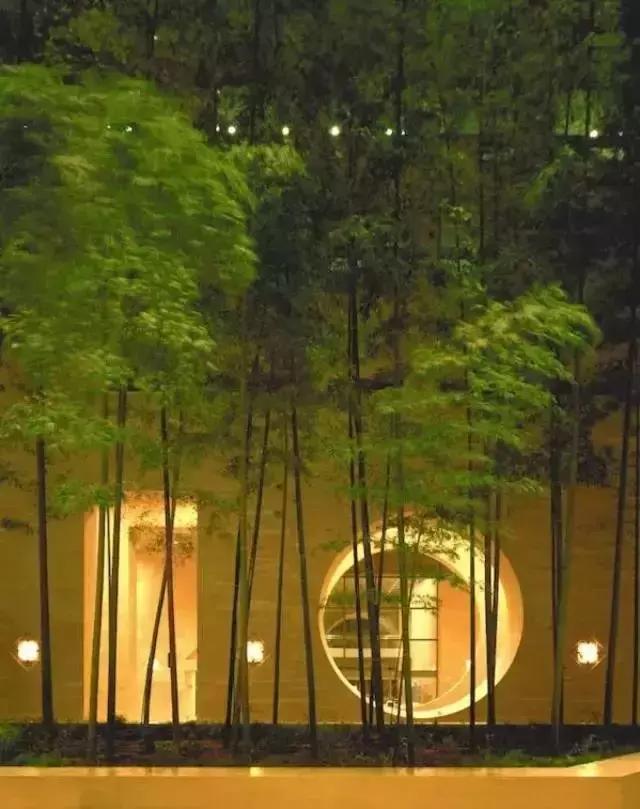 纪念建筑大师贝聿铭全集