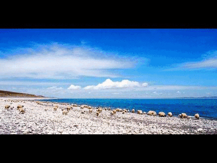 看这里就知道啦!|高原