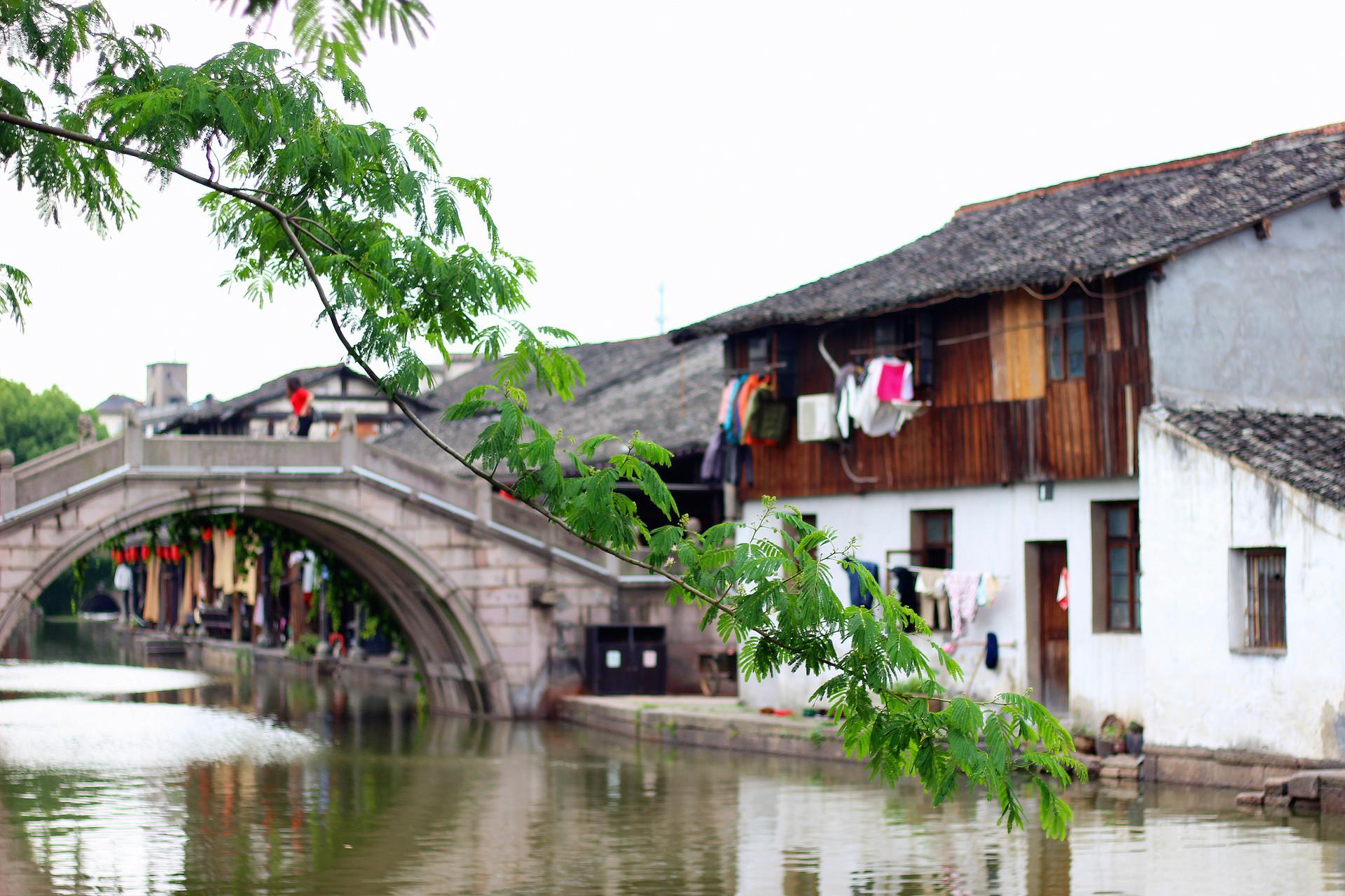 从杭州到宁波，这几座古镇都是免费开放的，人少景美