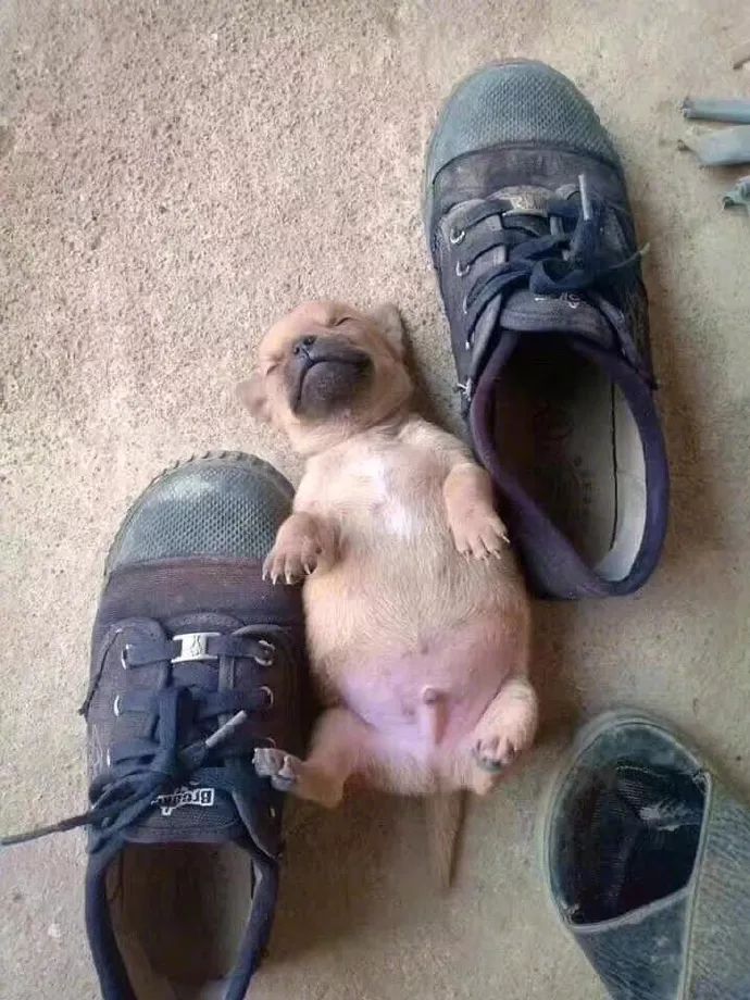 新功能！朋友圈千万别设置一个月可见，笑出双下巴哈哈哈哈哈哈哈哈哈哈哈哈