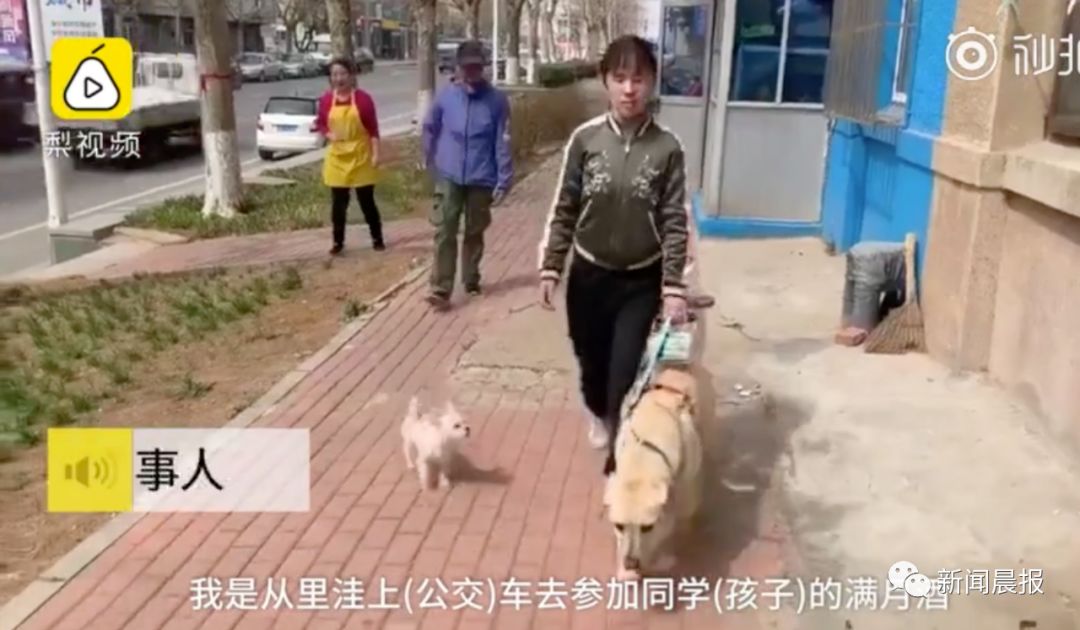 “你带狗上车,我就不开了”盲人带导盲犬坐公交竟遭拒载 “你带狗上车,我就不开了”盲人带导盲犬坐公交竟遭拒载