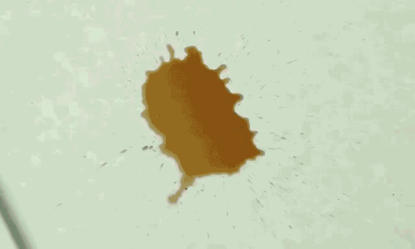 这个拖把不用洗，3分钟拖完整个家