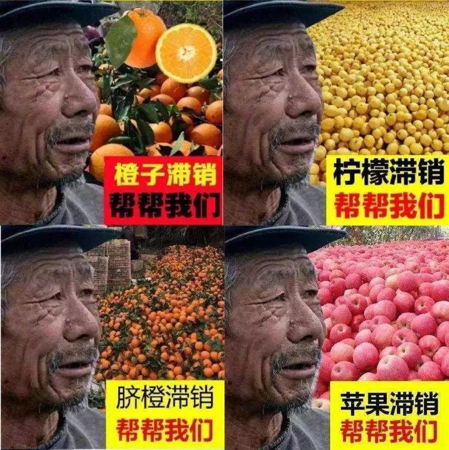 宁可烧掉也不送给穷人，亚马逊没做错