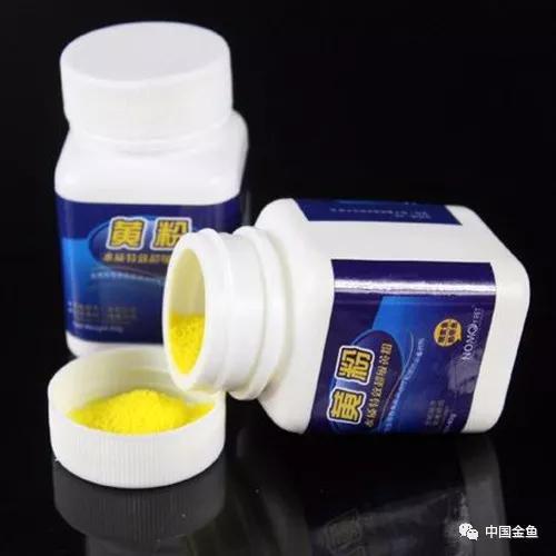 如果不了解黄粉，你还是放弃养鱼吧！