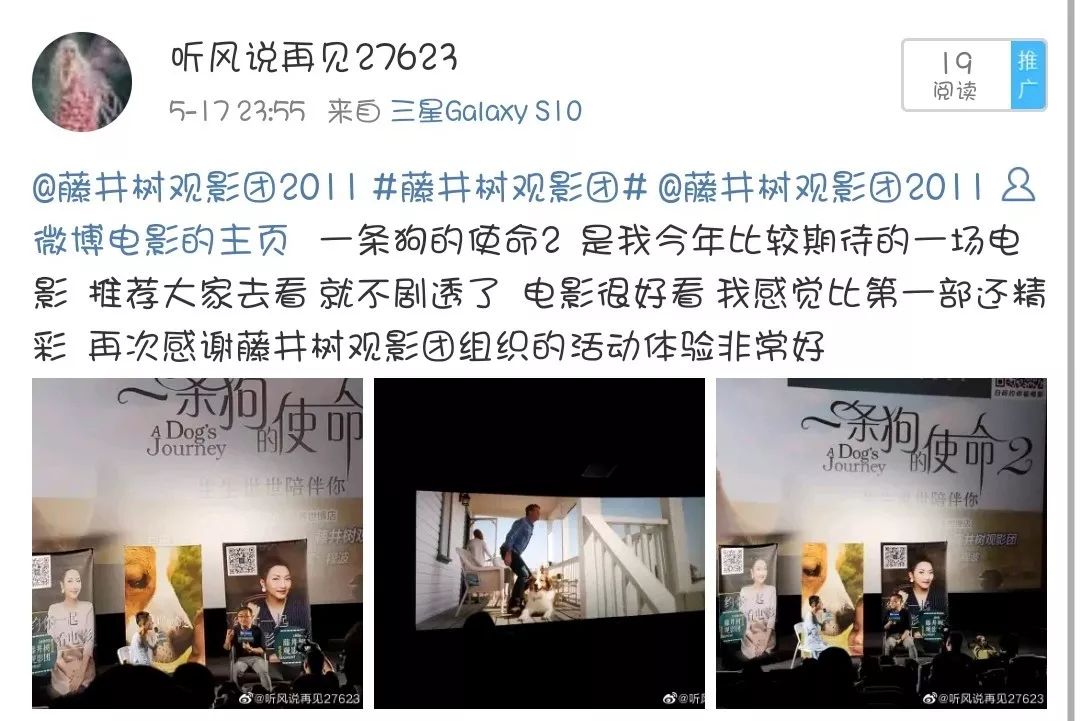 丧失理性打满分，真的好想养条狗。【内有赠票】