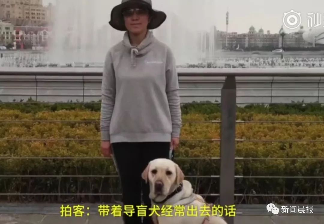 “你带狗上车,我就不开了”盲人带导盲犬坐公交竟遭拒载 “你带狗上车,我就不开了”盲人带导盲犬坐公交竟遭拒载