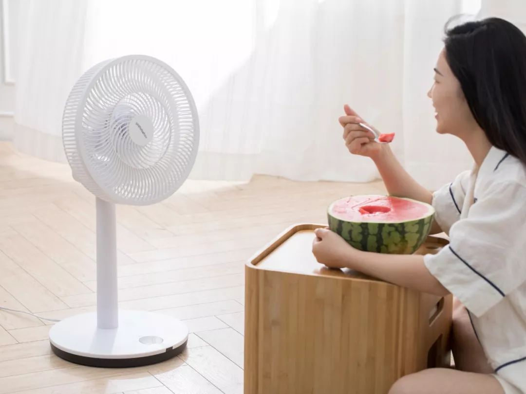 一夏天2度电？它能吹出“森林里的柔柔轻风”，自在又舒爽！