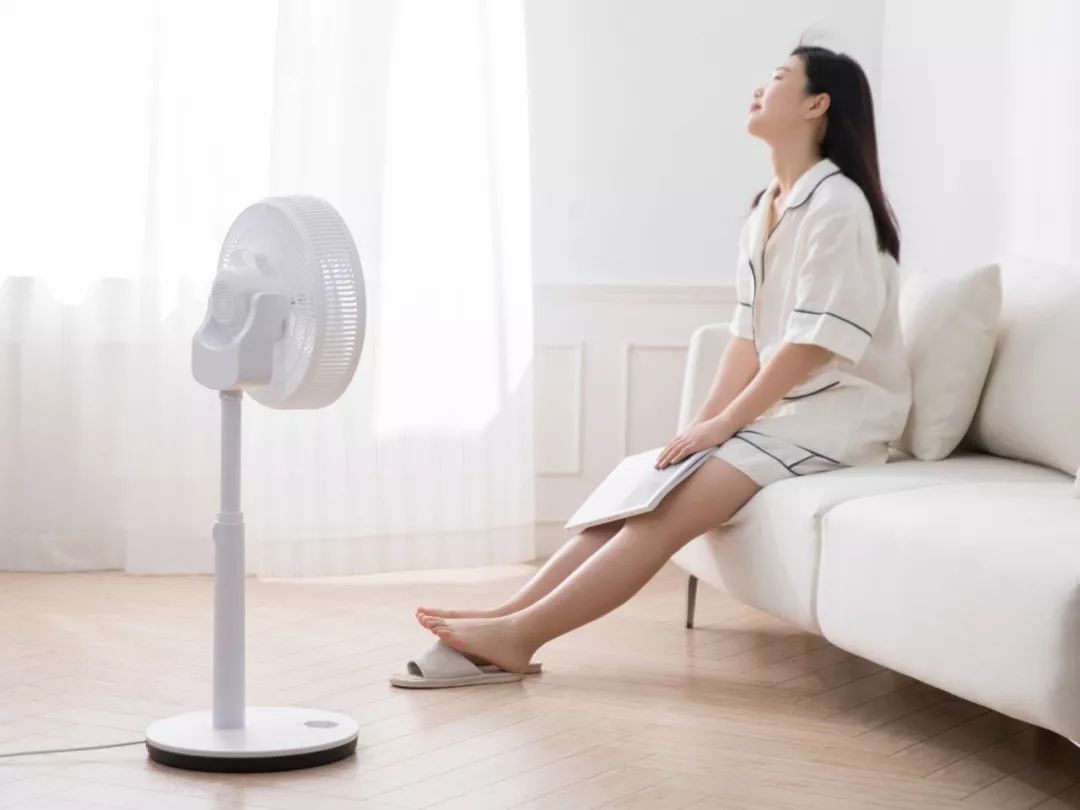 一夏天2度电？它能吹出“森林里的柔柔轻风”，自在又舒爽！