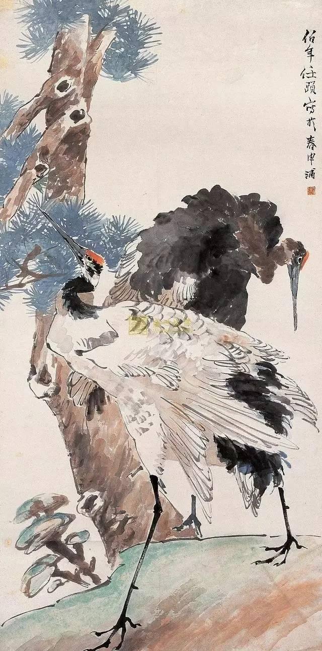 ���˶ PK �β��꣬˭���Ǻ��ɻ�̳���ϴ�