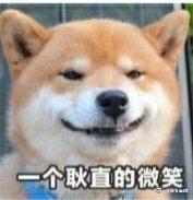 搞笑图片小柴犬的表情包来个热吻吗宝贝儿