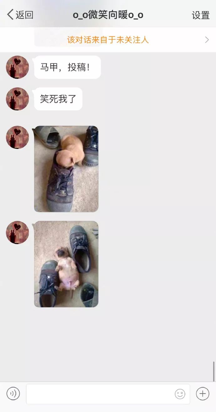 新功能！朋友圈千万别设置一个月可见，笑出双下巴哈哈哈哈哈哈哈哈哈哈哈哈