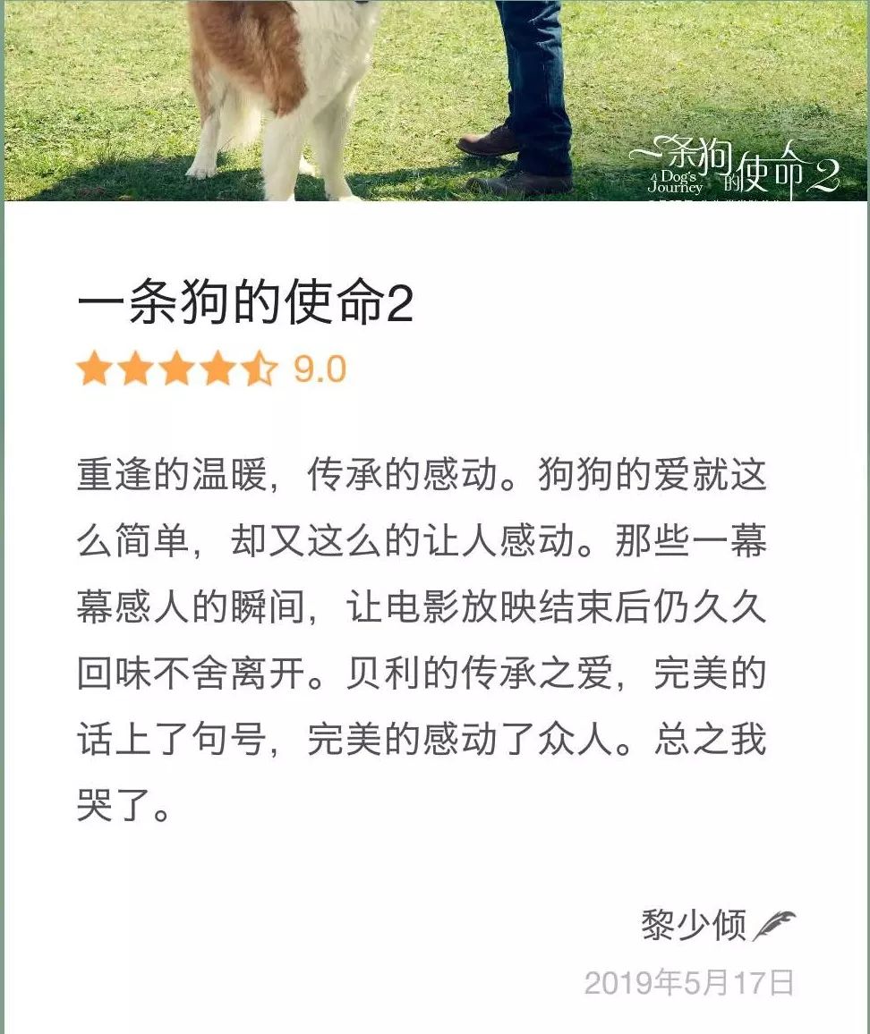 丧失理性打满分，真的好想养条狗。【内有赠票】