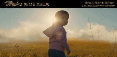 明明一直在笑，却又泪点无数。《一条狗的使命2》感动全场！【观影报告】