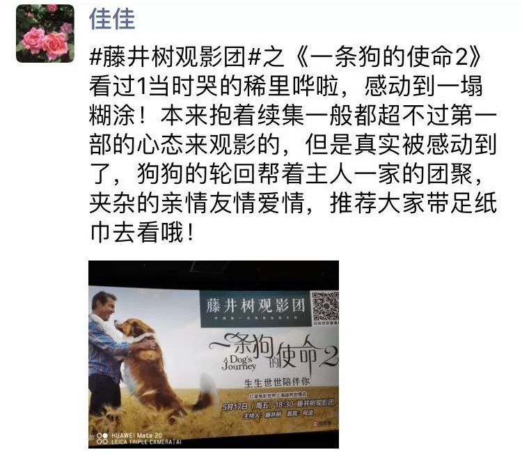 丧失理性打满分，真的好想养条狗。【内有赠票】