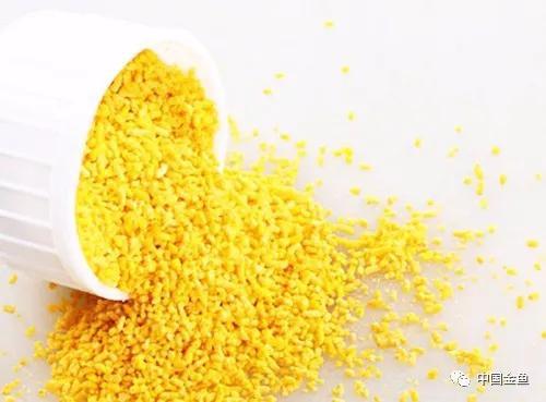 如果不了解黄粉，你还是放弃养鱼吧！