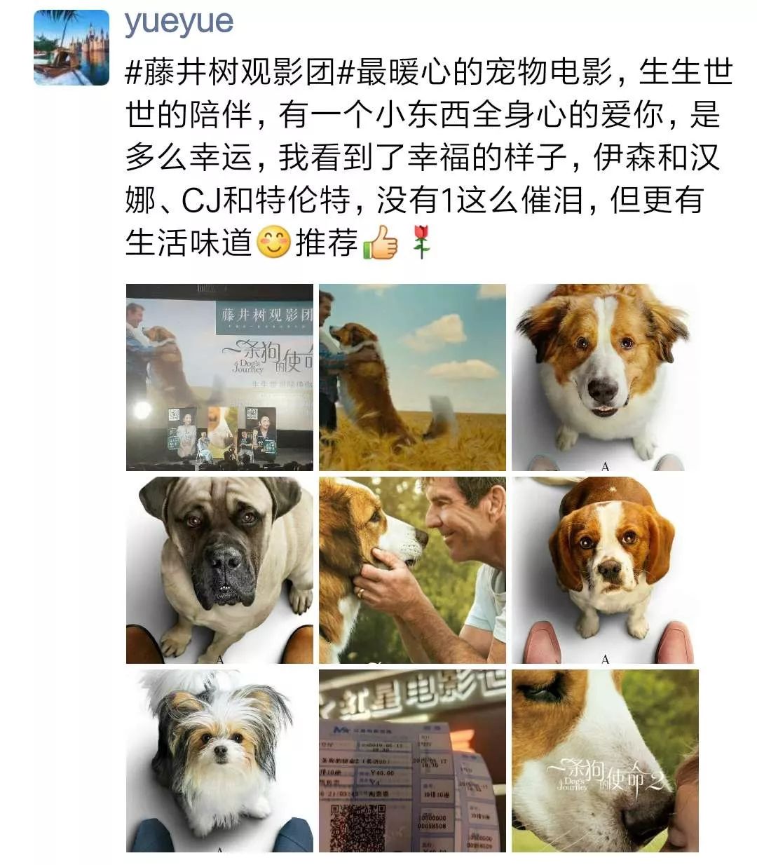 丧失理性打满分，真的好想养条狗。【内有赠票】