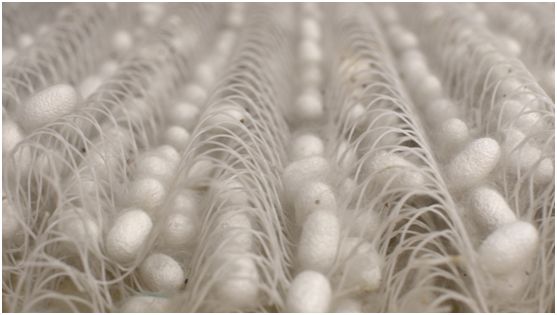 这项诞生于宋朝的顶级技艺，难度之高远超乎你的想象！