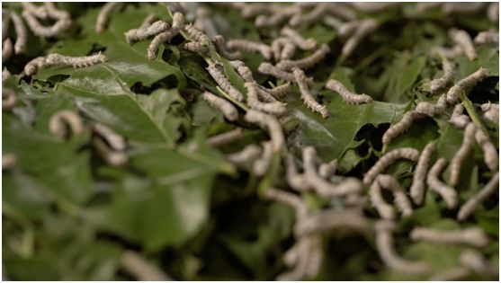 这项诞生于宋朝的顶级技艺，难度之高远超乎你的想象！