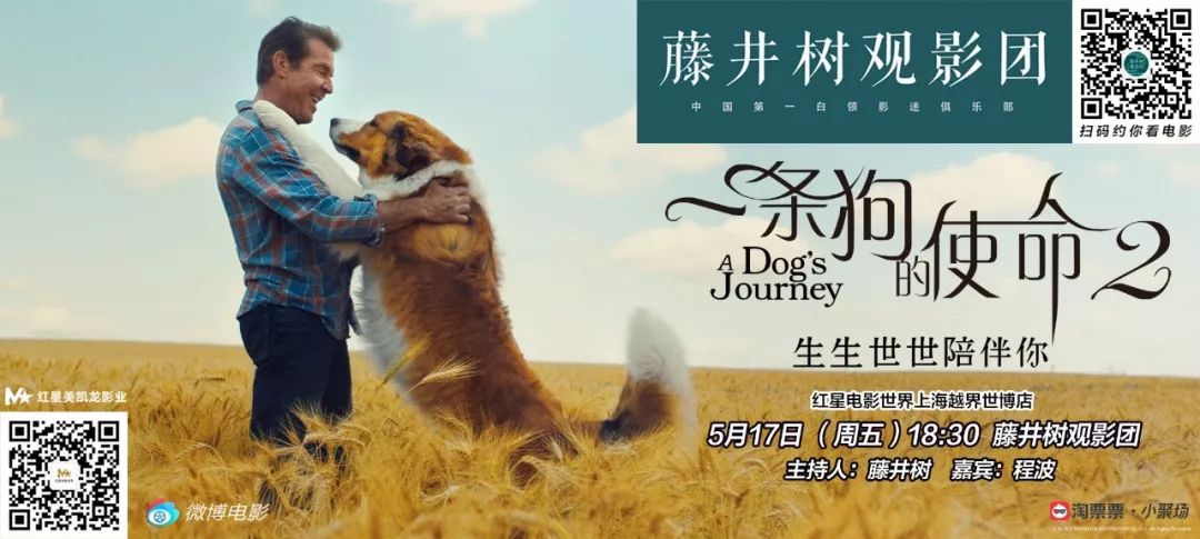 明明一直在笑，却又泪点无数。《一条狗的使命2》感动全场！【观影报告】