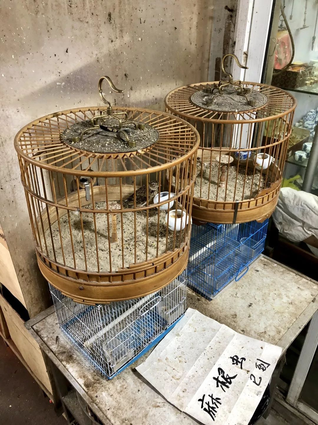 oops，我们不小心偷看了意大利设计师的手机...