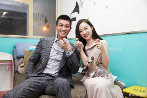 霍思燕现在都当太姥姥了！《妈超》时她家猫下崽，如今崽又生崽啦