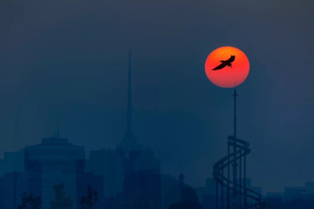 那些幸福感很强的人，都有什么特点？